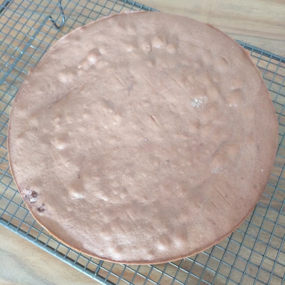 Génoise au chocolat