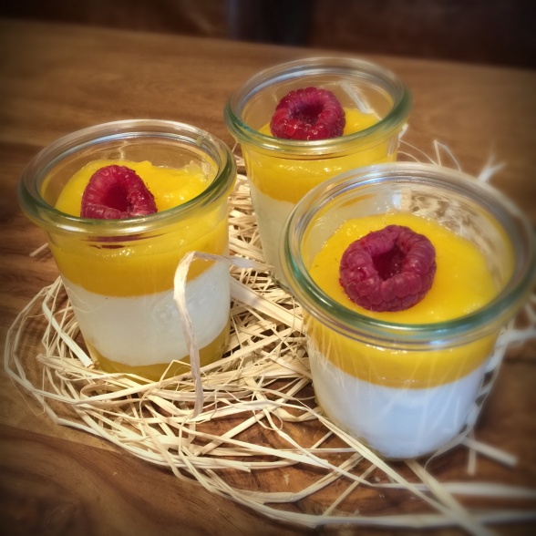 Pannacotta coulis mangue