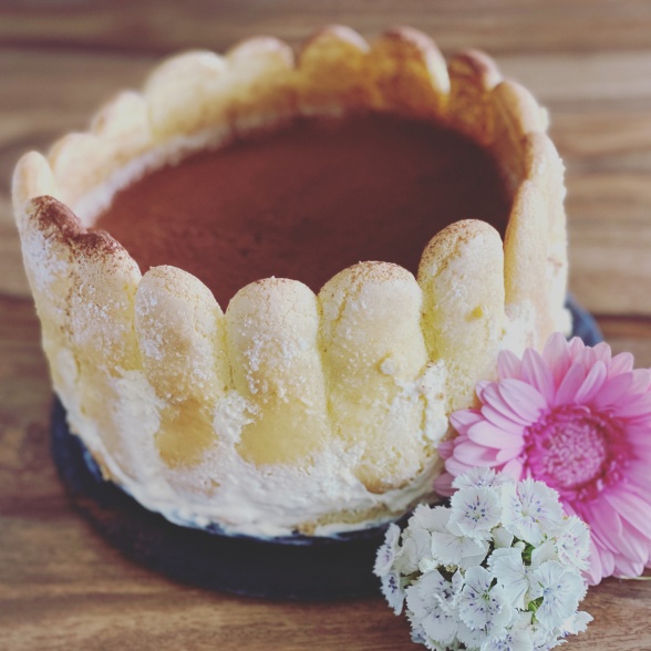 Charlotte Tiramisù
