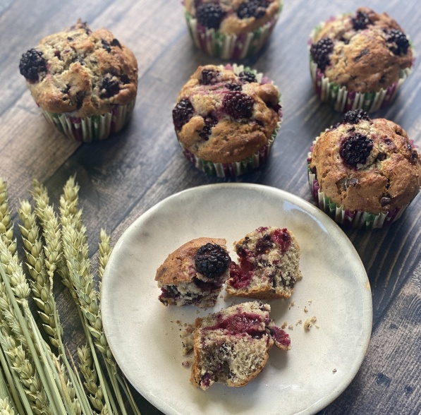 Muffins noisette & mûres